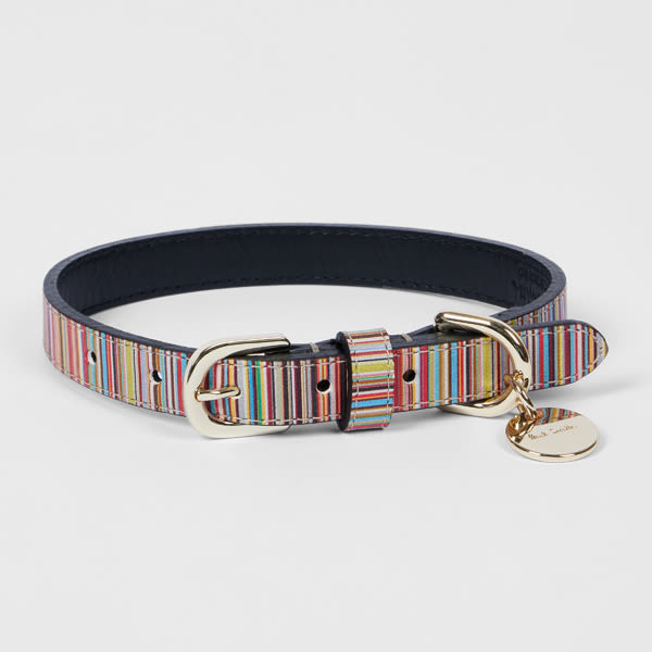 Paul Smith 'signature Stripe' Calf Leather Dog Collar Small/medium Multicolour In Multicolour