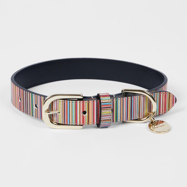 Paul Smith 'signature Stripe' Calf Leather Dog Collar Medium/large Multicolour In Multicolour
