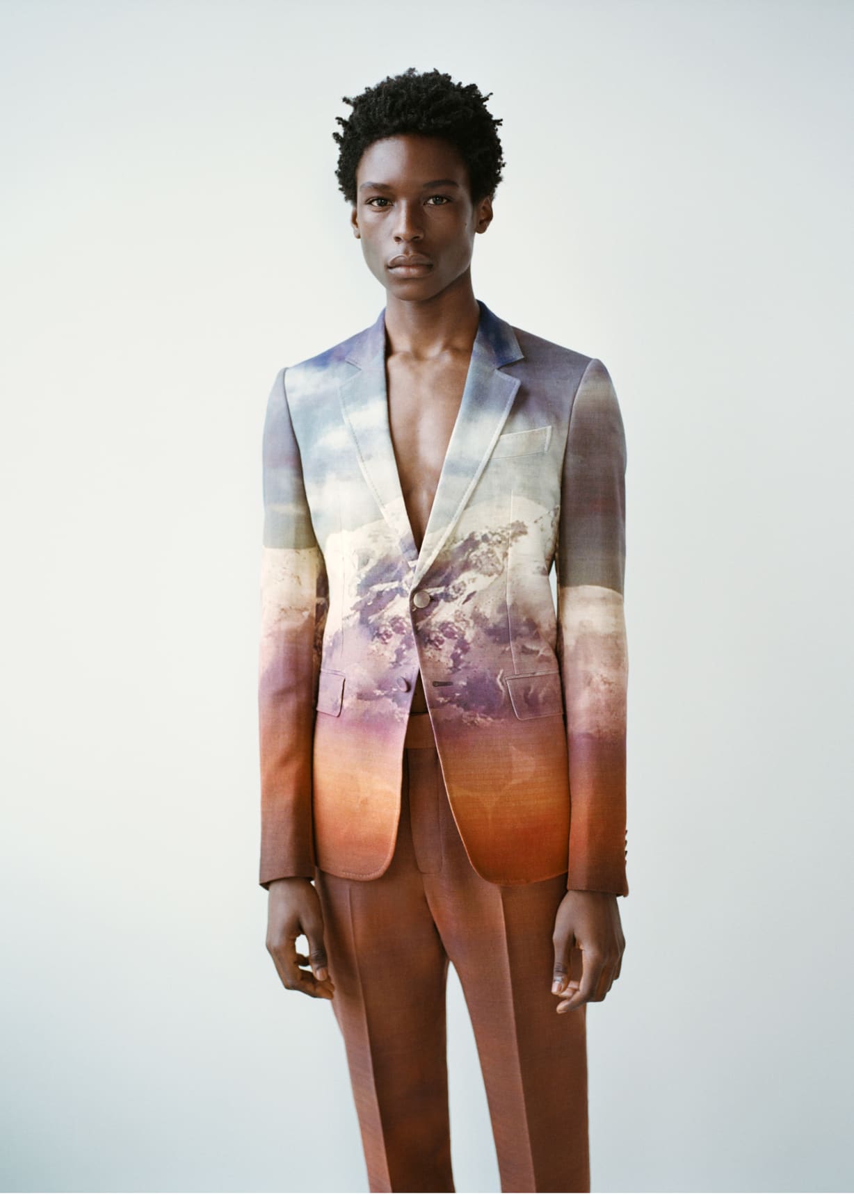 Paul Smith + Gabriela Hearst - Irving Mountain Print Blazer