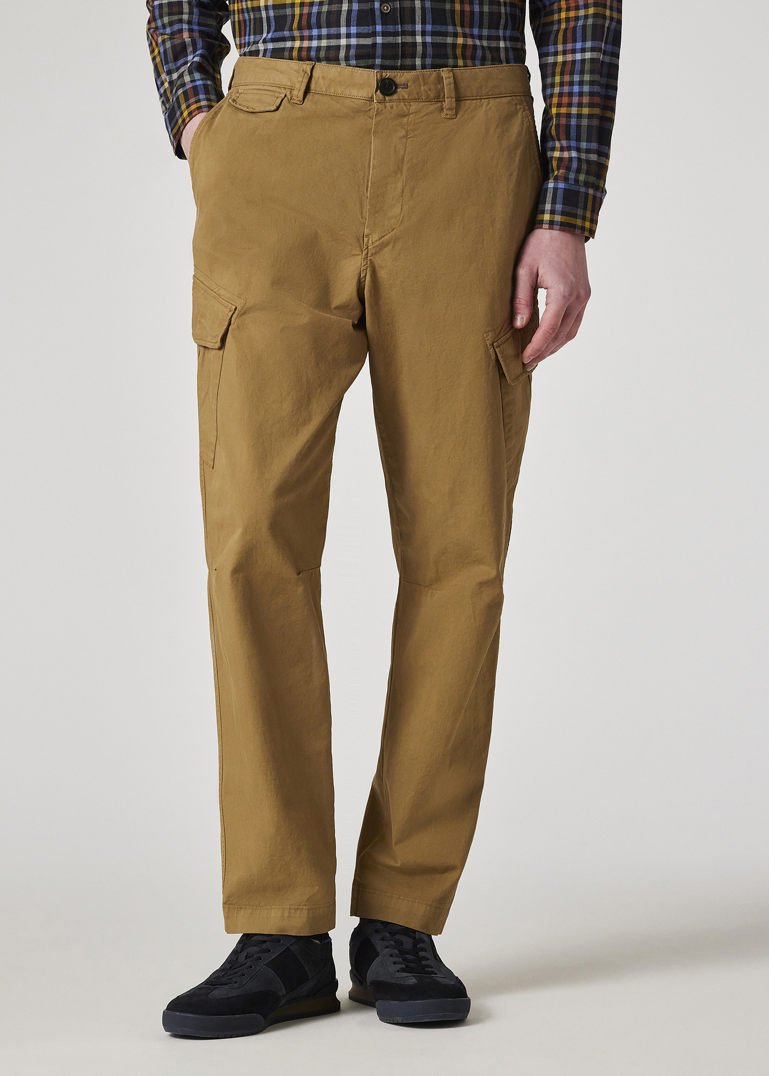 Light Brown Broad Stripe Zebra Cargo Trousers primary image