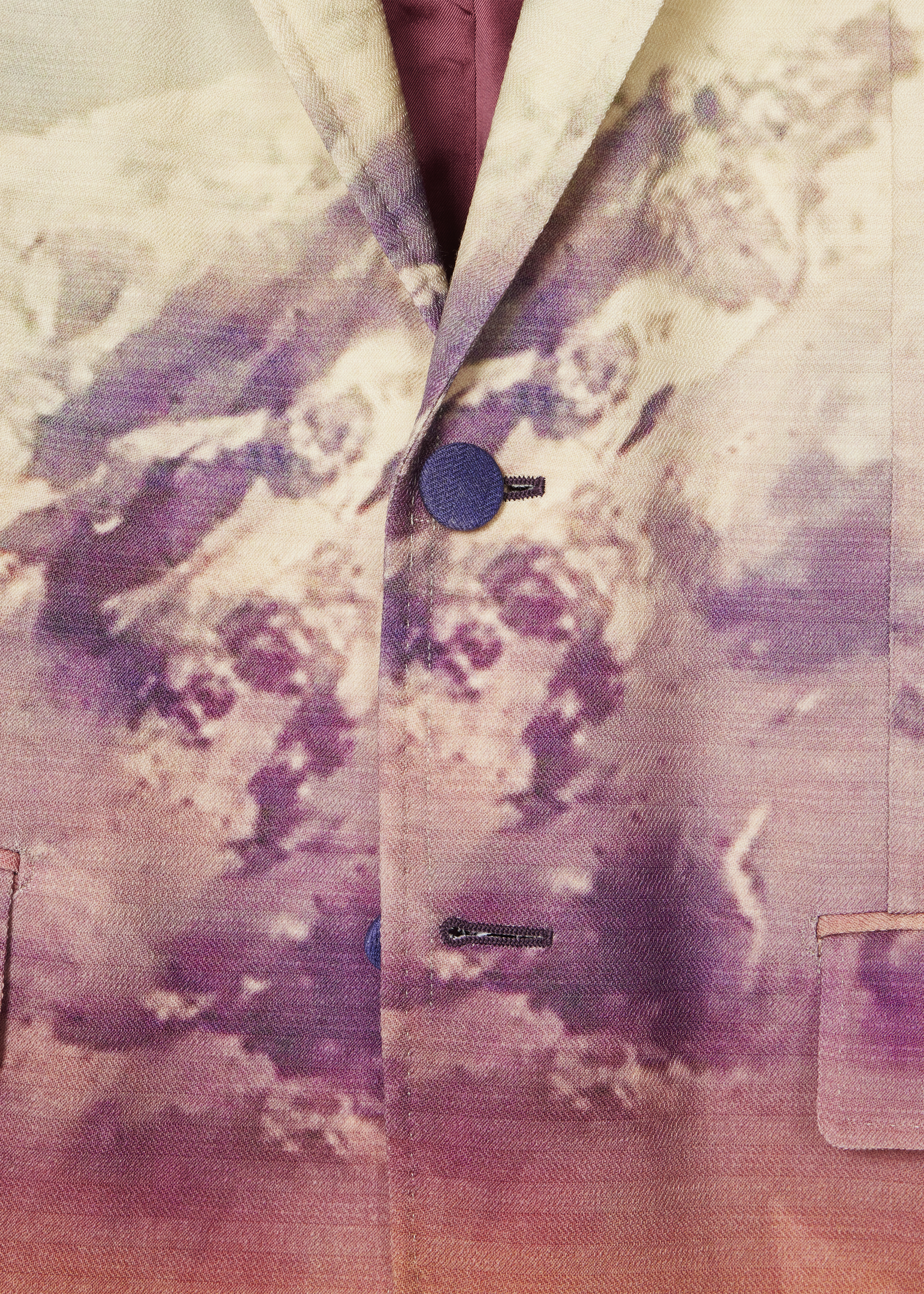 Paul Smith + Gabriela Hearst - Irving Mountain Print Blazer thumbnail 8
