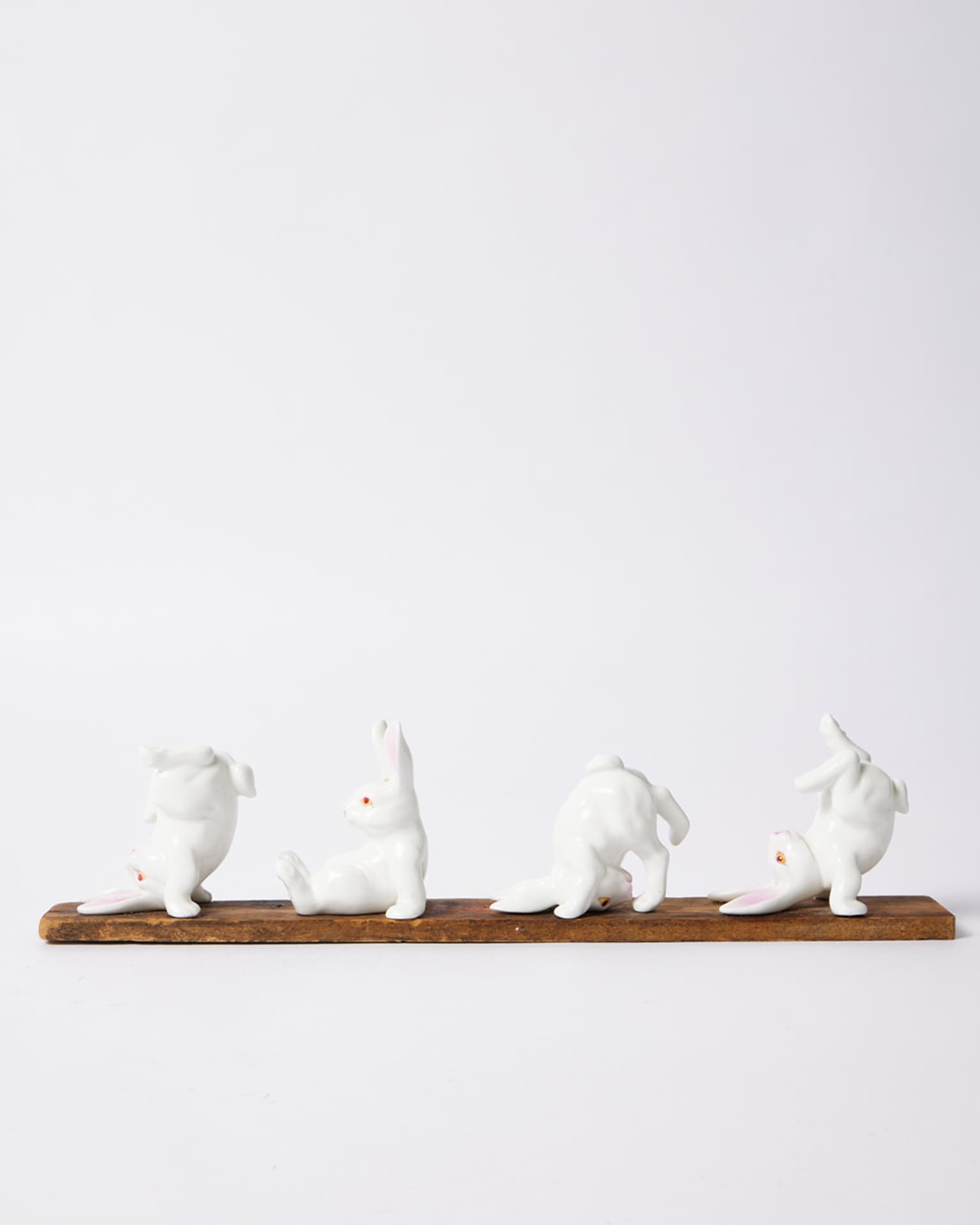 The Year Of The Rabbit: Paul’s Bunny Collection