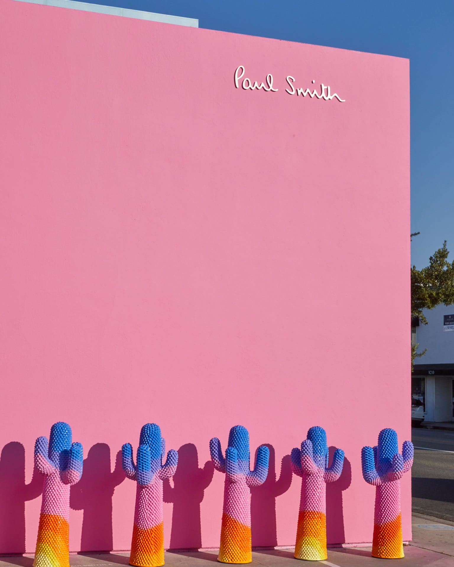 Paul Smith X Gufram : The Sunrise Cactus